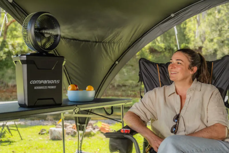 Fans<Companion Aerobreeze ProMist 25cm Oscillating Misting Fan