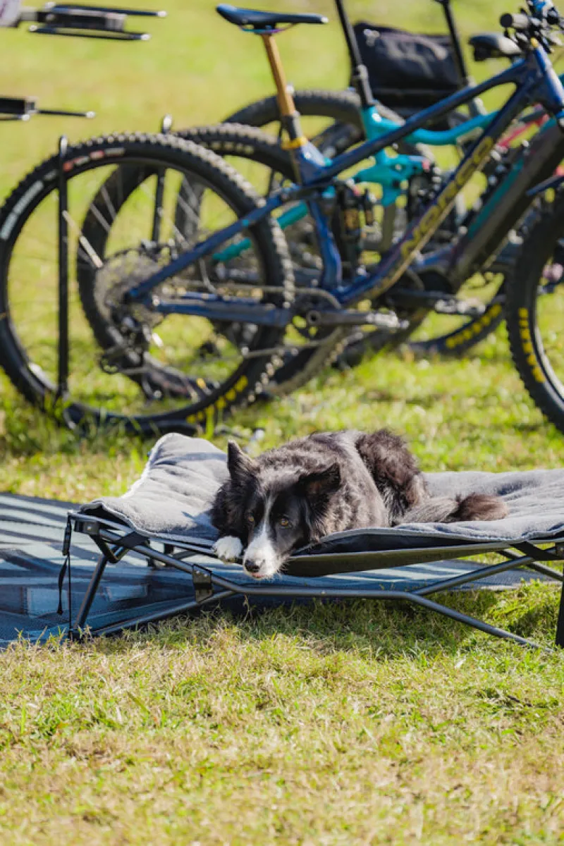 Chairs<OZtrail Dog Bed & Fleece Topper