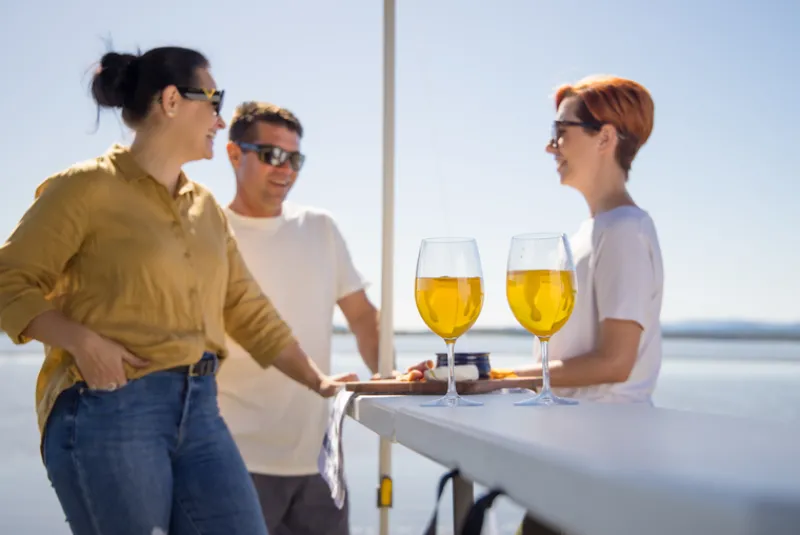 Other<OZtrail Gazebo Bar Table