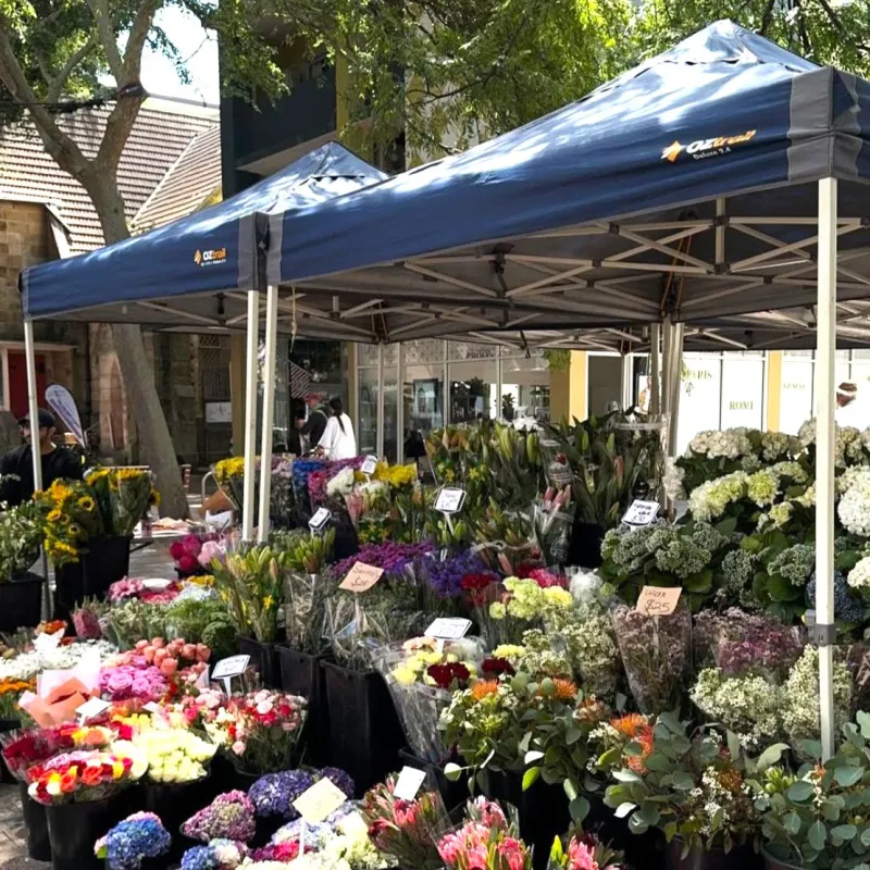 Hydroflow<OZtrail Hydroflow Deluxe 3.0 Gazebo - Navy