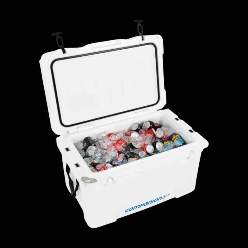 Hard Coolers<Companion 50L Ice Box