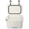 Hard Coolers<Companion 15L Ice Box With Bail Handle