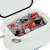 Hard Coolers<Companion 15L Ice Box With Bail Handle
