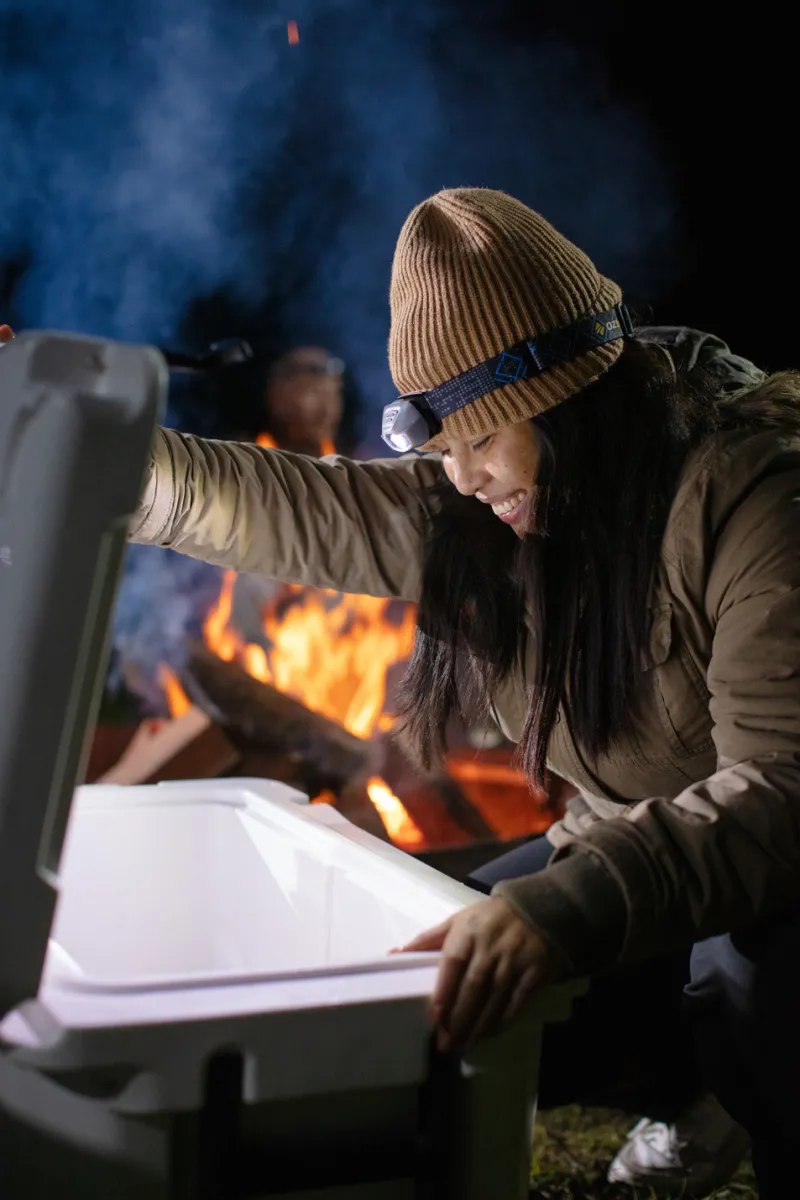 Fridges & Freezers<Companion 60L Single Zone Lithium Fridge/Freezer