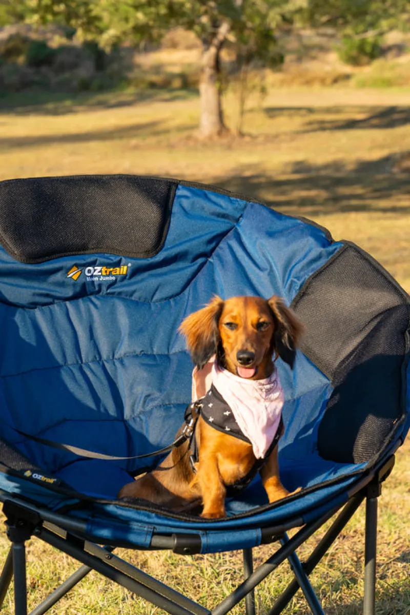 Chairs<OZtrail Moon Chair Jumbo - Blue