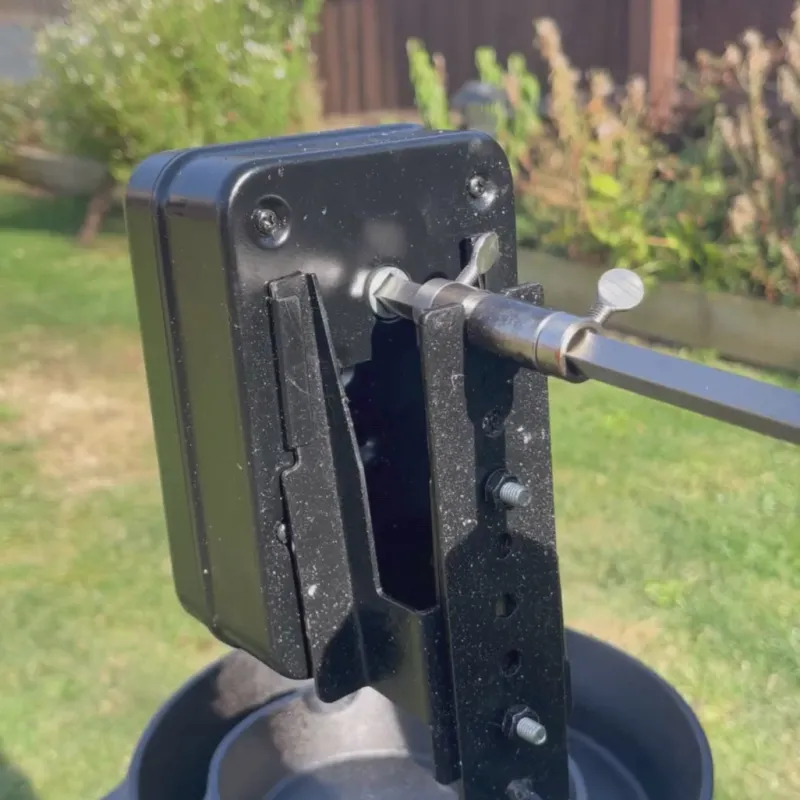 Big Pig<Ozpig Big Pig