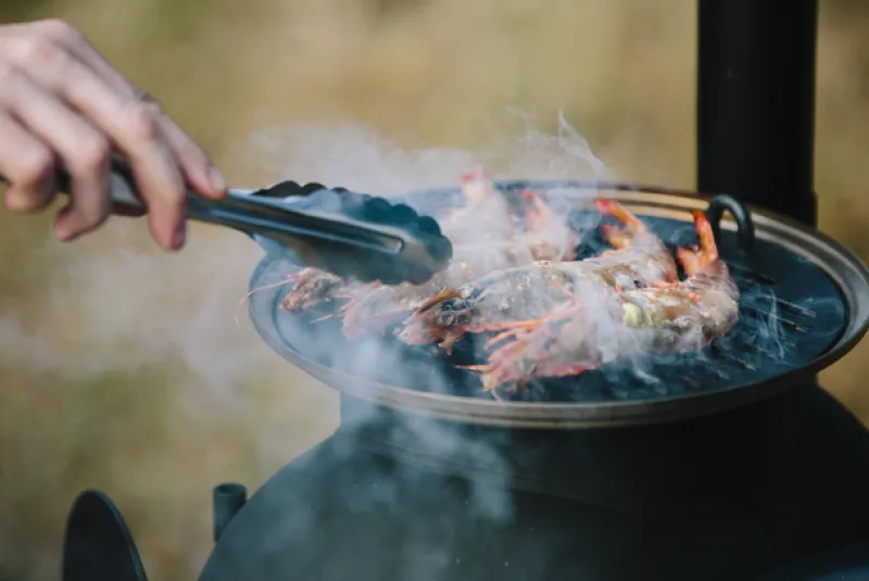 Series 2<Ozpig Series 2 Portable Wood Fire Stove