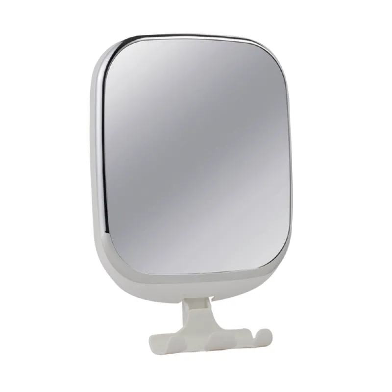 Accessories<Companion Suction Mirror